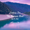 #240 Dr Rob / Looking For The Balearic Beat / February 2021
