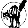 Emission CNT Nantes du 26 mars 2018 : les luttes du Kurdistan
