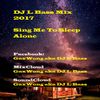 Sing Me To Sleep + Alone+ Despacito ( EDM + 慢摇 ) DJ L Bass 2k17 Mix