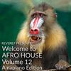 Welcome to Afro House Vol. 12 (Amapiano Edition) Feb 2021
