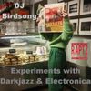 Automatic Relax | Experiments with Darkjazz & Electronica by DJ Birdsong