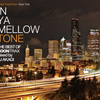 THE BEST OF IN YA MELLOW TONE mixed by DJ AKAGI (Release Candidate 2)