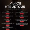 Avicii @ True Tour, Tele2 Arena Stockholm, Sweden 2014-02-28