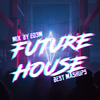FUTURE HOUSE - BEST MASHUPS - MIX BY ED3M