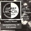 Yves De Ruyter & Franky Kloeck at Cherry Moon (Lokeren - Belgium) - 28 August 1993