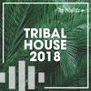 Música de antro (tribal house, circuit)