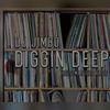 #61 >> DJ Jimbo Presents The Diggin Deep Show on Housemasters-Radio - Thur 22-08-19
