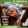 Soulful house water # 38 by Dj Osiruss