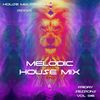 Gavin Robbins - Melodic House , Friday Sessions Vol 06