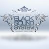 Scriptures Riddim Mix (Black Sound CR) 2013