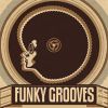 Disco & Funky House Grooves vol.1 (Mixed & Compiled By DJ Alek Solti)
