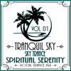 ★ Sky Trance ★ - Spiritual Serenity Vocal Trance Mix Vol 01