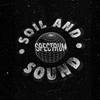 Spectrum Sessions Ft Soil and Sound's Chopstick Warrior - Dub/Reggae Vinyl Mix - 23rd of March '19