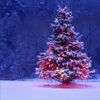 Christmas Jukebox volume 1 - Great Classic Christmas Songs