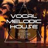 Gavin Robbins - Vocal Melodic House - Friday Sessions Vol 10