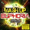 Mash Up Mix Euphoria - Mixed by The Cut Up Boys mix 1