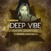 Underground Sound Presents Deep Vibe Vol. 5 By Gavin Crawford and Guest Shael