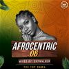 DJ Skywalker - Afrocentric 8