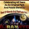 DJRayNYC - Best of Blends and Mashups Vol. 1