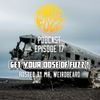 More Fuzz Podcast - Episode 17