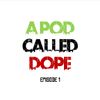 A Pod Called Dope - Episode 1 : Drake - More Life Discussion