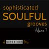 Sophisticated Soulful Grooves Volume 7 (May 2015)