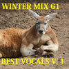 Winter Mix 61 - Best of Vocals Vol. 1