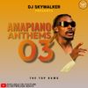 DJ Skywalker - Amapiano Anthems 3