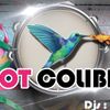 Caribbean Mix Session - DJ Sown - Hot Colibri - 31.01.2015 - Stoned Colibri (Reggae)