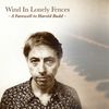 Wind in Lonely Fences - A Farewell to Harold Budd