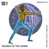 Sounds of the Dawn - 27th April 2019