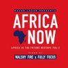 Walshy Fire x Fully Focus - Africa Now (Africa Is The Future Vol. 2)