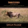Sounds Of Africa Volume VI (ADUMA 1st Anniversary Party with Prince Kaybee Live Set)