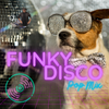 Funky Disco Infused Pop Mix 0116