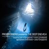 29. Progressions pres. The Deep End #14 - Mixed by Josh M, Victor G, Agoosenaro & Yukun