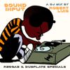 Sound Input - A Reggae & Dubplate Specials DJ Mix by Robert Luis