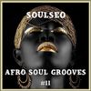 Afro Soul Grooves #11