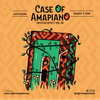 A Case of Amapiano with Dj Protege - Protege Effect Vol 36