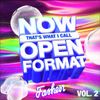 NOW That's What I Call Open Format! Vol. 2
