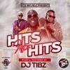 HITS AFTER HITS VLM 1 - DJ TIBZ HITSREPUBLIC254
