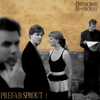 Besides: B-sides - Prefab Sprout
