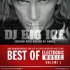 DJ BIGICE - Best Of Electronic Music vol. 1 (Tech House & Techno)