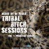 TRIBAL BITCH SESSIONS -VOL 1 Primetime (Circuit) - DJ PAULO