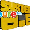 SystemDub radio show 31.05.2014 - Pure FM