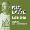 Big Love Radio Show – November 2023 – Illyus & Barrientos Big Mix