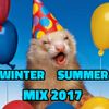 Winter Summer Mix 2017
