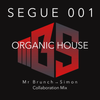 Collab Mix (Mr Brunch/DJ Simon) - SEGUE 001
