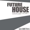 Future House Compilation Volume 1 by DJ ChrisMyk (August 2015)