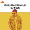 MIX REGGAETON 2019 VOL 5! (DJ FELE)