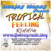 Tropical Riddim X Reggae Fest Riddim 2019-Dj Wensy